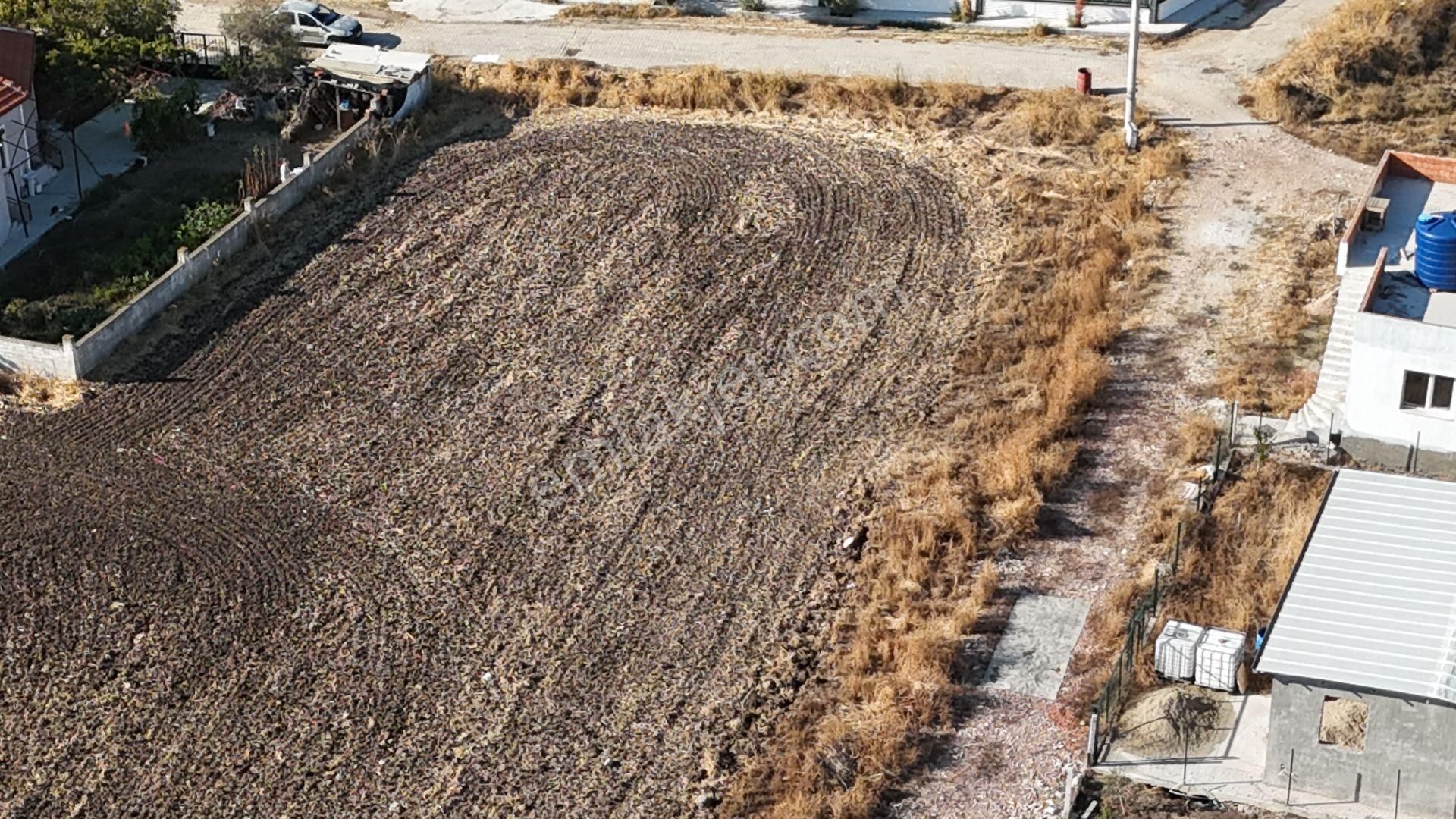 Oğlananasında Köşe Konut-villa 3 Kat 0.60 Emsal H=9.80 Arsa Menderes İzmir - Görsel 32