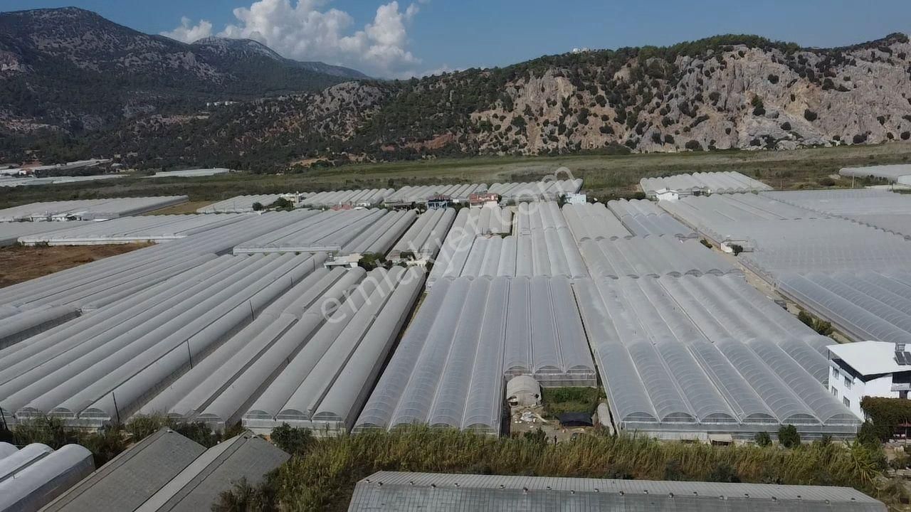 Uğur'dan Karadere Mah. Satılık 4065m2 İçerisinde 3 Dönüm Sera - Görsel 25