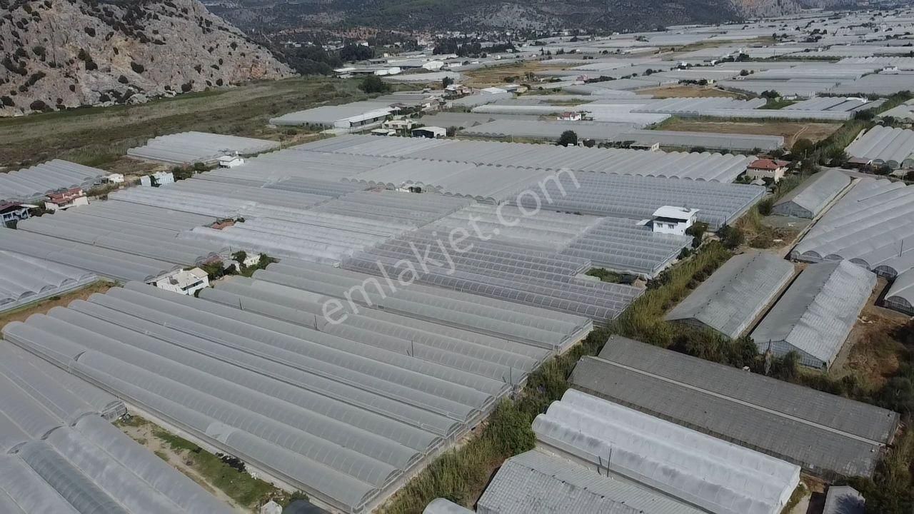Uğur'dan Karadere Mah. Satılık 4065m2 İçerisinde 3 Dönüm Sera - Görsel 5