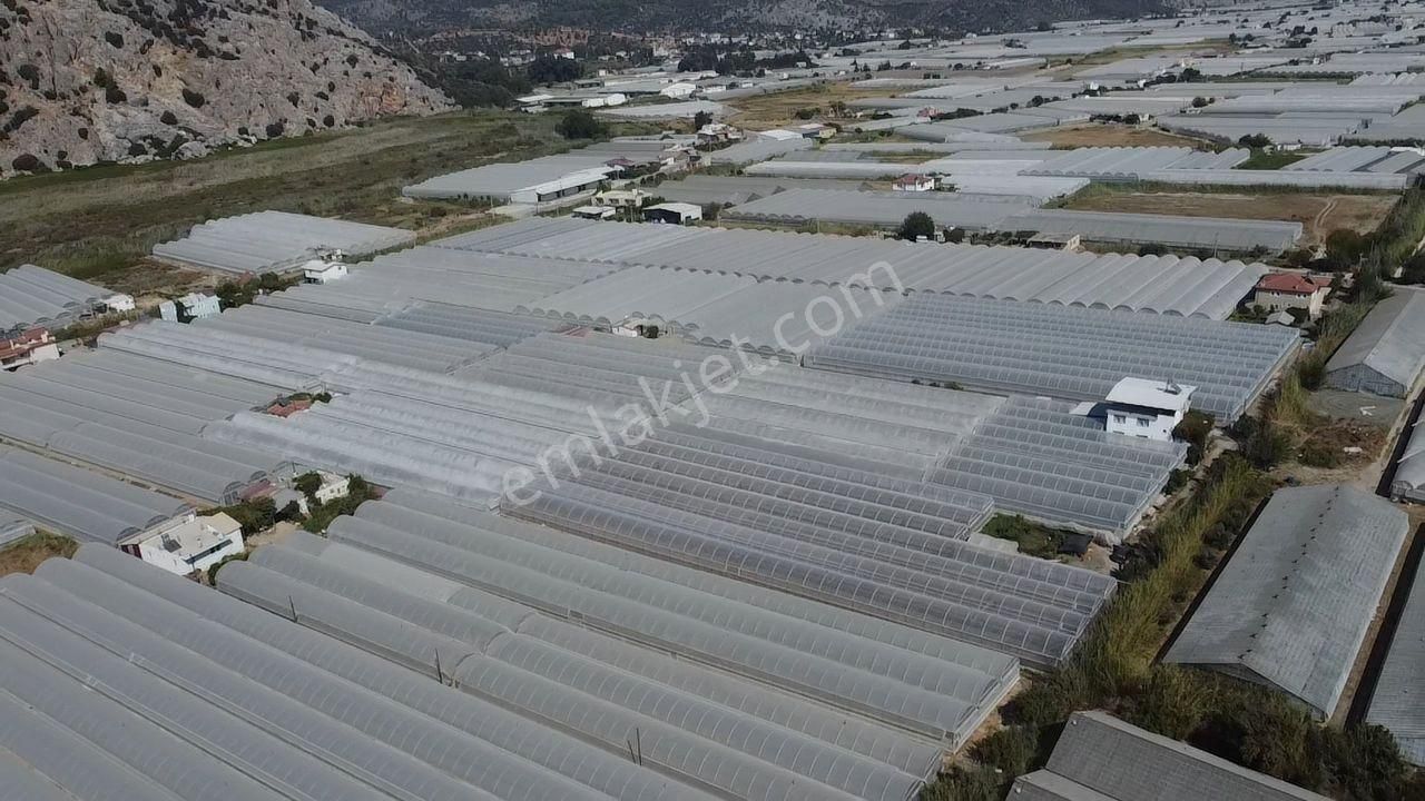 Uğur'dan Karadere Mah. Satılık 4065m2 İçerisinde 3 Dönüm Sera - Görsel 8
