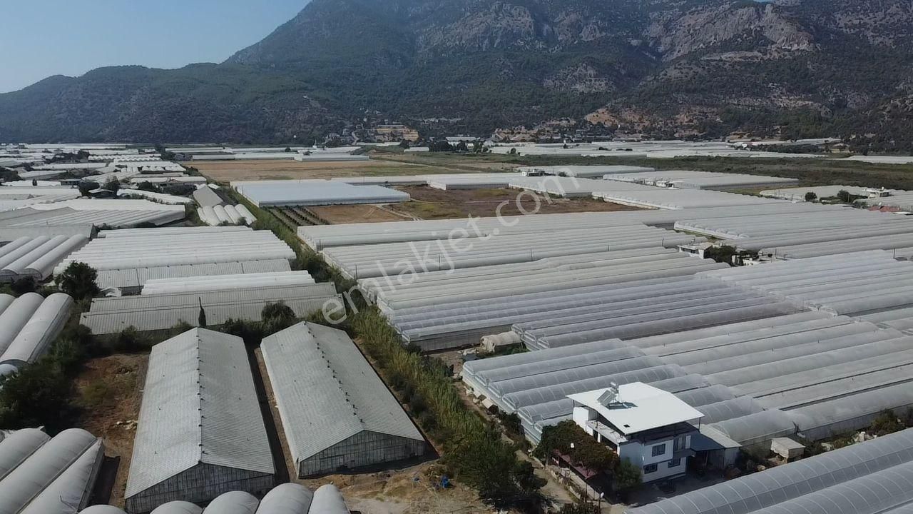 Uğur'dan Karadere Mah. Satılık 4065m2 İçerisinde 3 Dönüm Sera - Görsel 20
