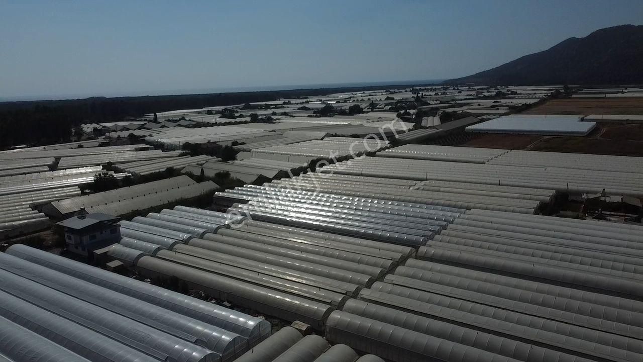 Uğur'dan Karadere Mah. Satılık 4065m2 İçerisinde 3 Dönüm Sera - Görsel 18