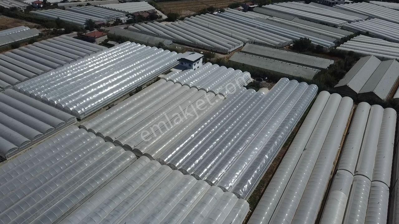 Uğur'dan Karadere Mah. Satılık 4065m2 İçerisinde 3 Dönüm Sera - Görsel 12