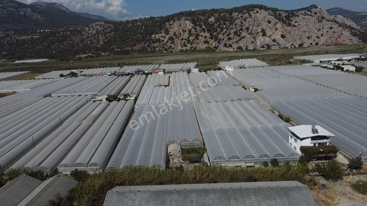 Uğur'dan Karadere Mah. Satılık 4065m2 İçerisinde 3 Dönüm Sera - Görsel 29