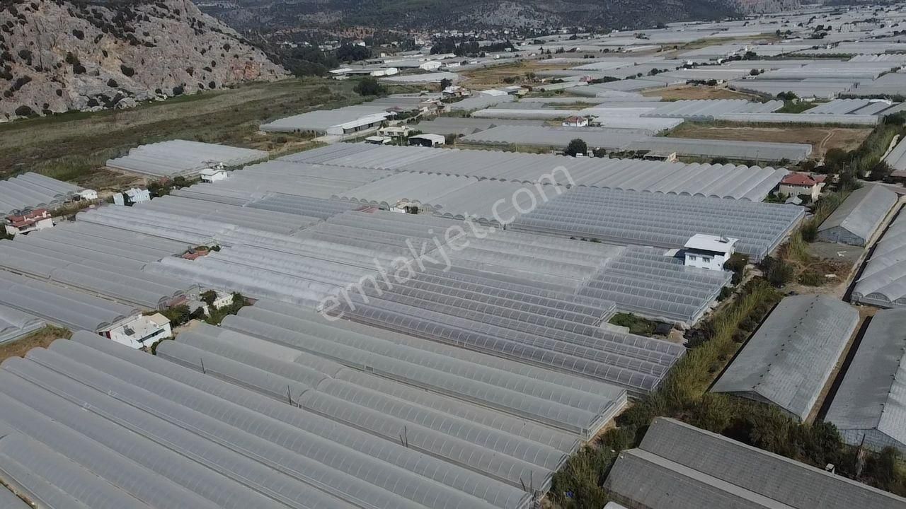 Uğur'dan Karadere Mah. Satılık 4065m2 İçerisinde 3 Dönüm Sera - Görsel 7