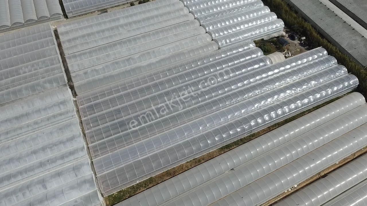 Uğur'dan Karadere Mah. Satılık 4065m2 İçerisinde 3 Dönüm Sera - Görsel 10