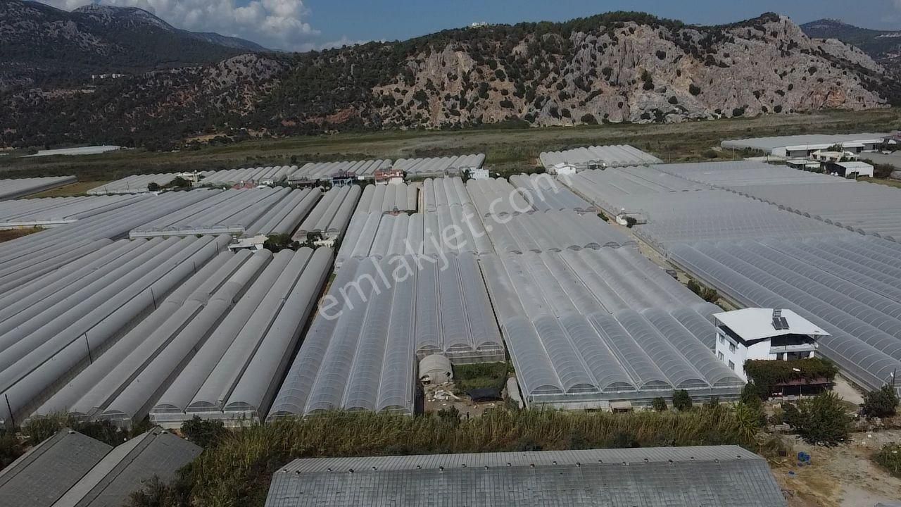 Uğur'dan Karadere Mah. Satılık 4065m2 İçerisinde 3 Dönüm Sera - Görsel 27