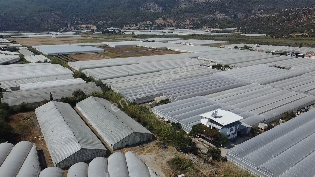 Uğur'dan Karadere Mah. Satılık 4065m2 İçerisinde 3 Dönüm Sera - Görsel 23