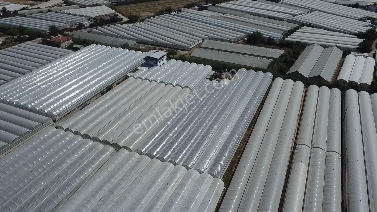 Uğur'dan Karadere Mah. Satılık 4065m2 İçerisinde 3 Dönüm Sera - Görsel 13