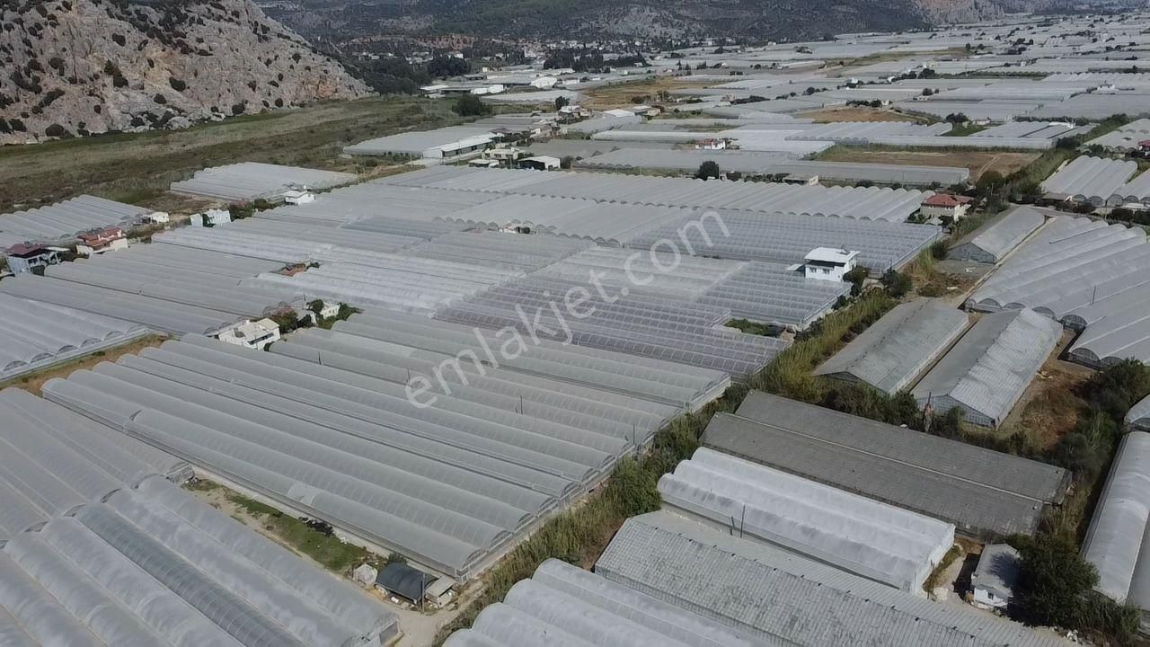 Uğur'dan Karadere Mah. Satılık 4065m2 İçerisinde 3 Dönüm Sera - Görsel 6