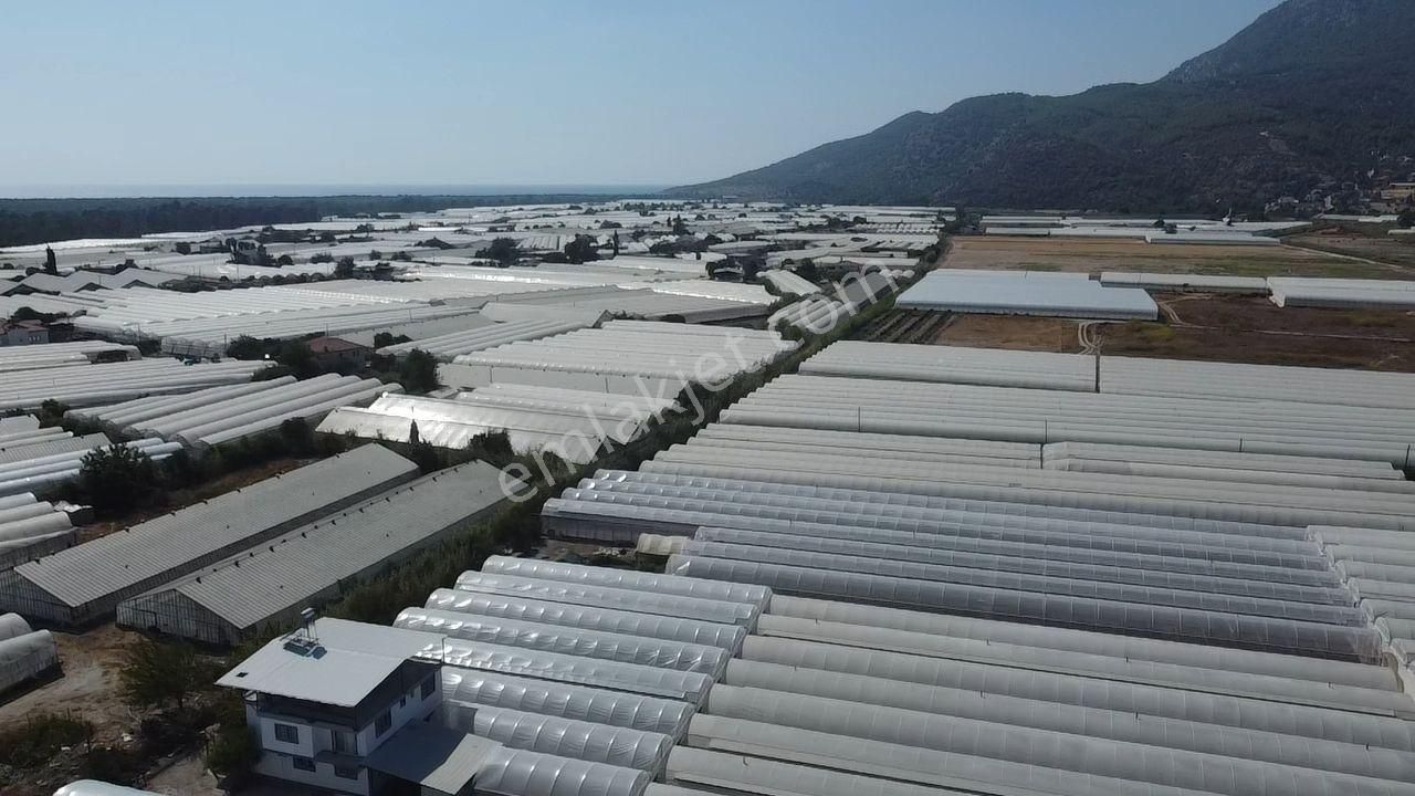 Uğur'dan Karadere Mah. Satılık 4065m2 İçerisinde 3 Dönüm Sera - Görsel 22