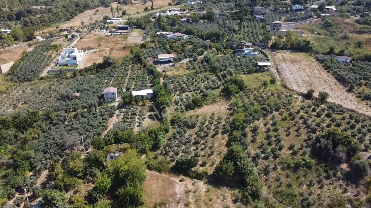 Uğur' Dan Döğer Mah. 2039m2 Müstakil Tapulu Fırsat Arazi - Görsel 11