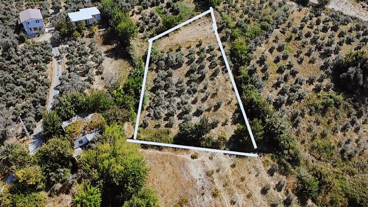Uğur' Dan Döğer Mah. 2039m2 Müstakil Tapulu Fırsat Arazi