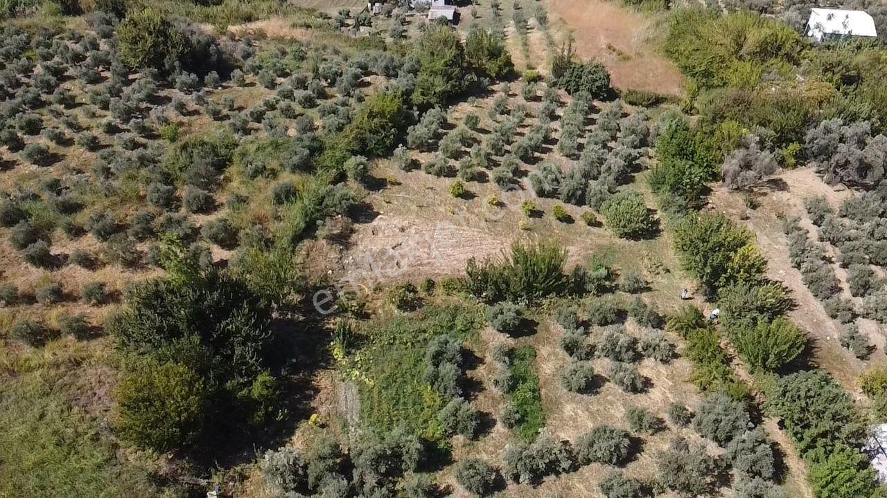 Uğur' Dan Döğer Mah. 2039m2 Müstakil Tapulu Fırsat Arazi - Görsel 18