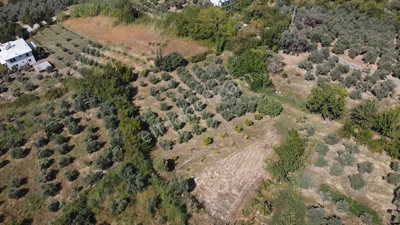 Uğur' Dan Döğer Mah. 2039m2 Müstakil Tapulu Fırsat Arazi - Görsel 31