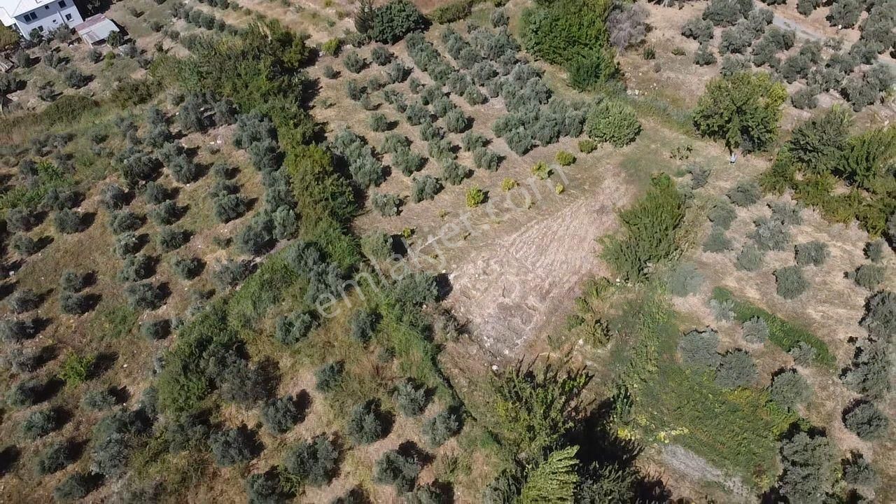 Uğur' Dan Döğer Mah. 2039m2 Müstakil Tapulu Fırsat Arazi - Görsel 28