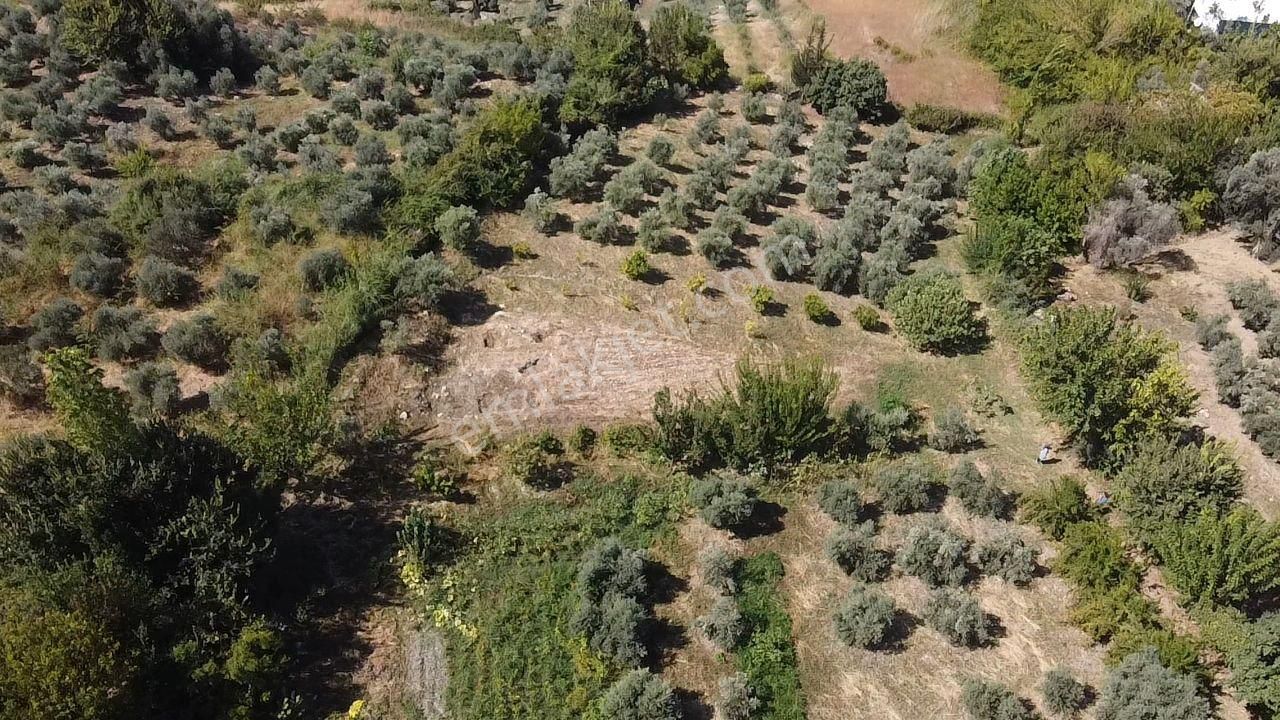 Uğur' Dan Döğer Mah. 2039m2 Müstakil Tapulu Fırsat Arazi - Görsel 21