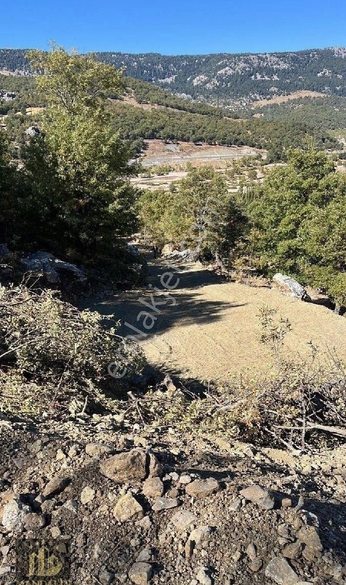 Tırılar Yaylası - Görsel 3