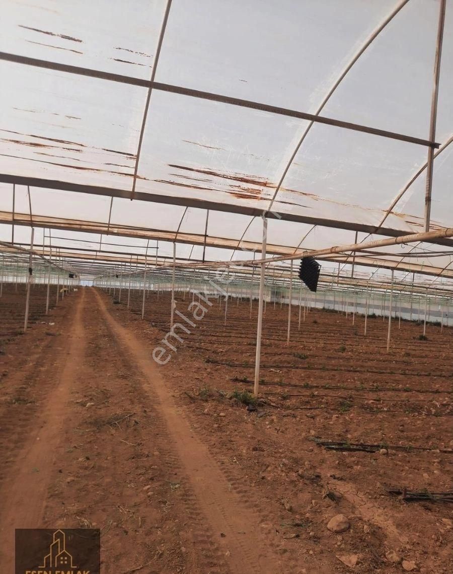 Antalya Elmalı Bozhüyük Mahallesinde Yola Cephe Toplam 40.000m2 Satılık Kapalı Sera - Görsel 4