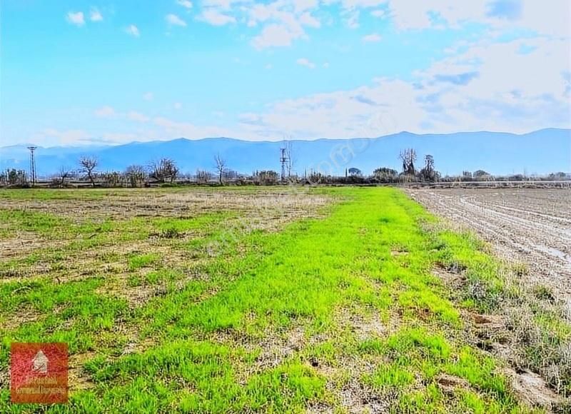 Tire Ye 5 Km Mesafede Satılık Harika Bir Tarla - Görsel 17