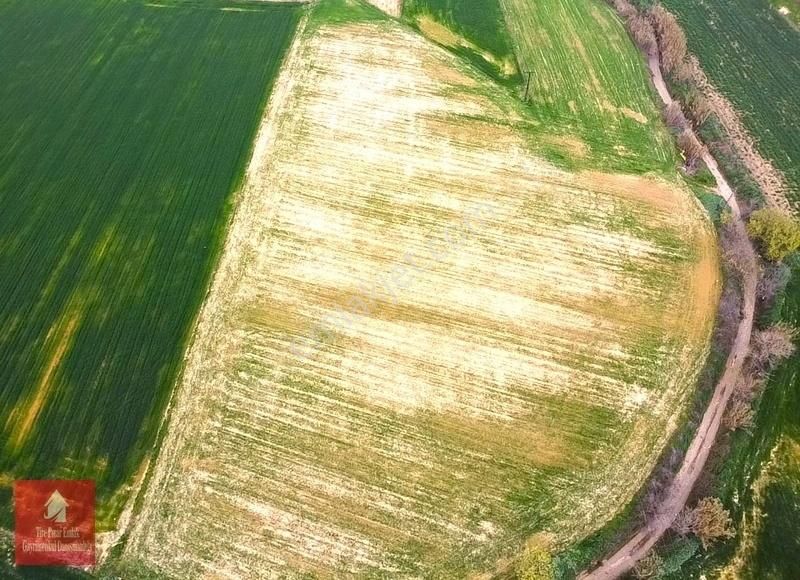 Tire Ye 5 Km Mesafede Satılık Harika Bir Tarla - Görsel 8