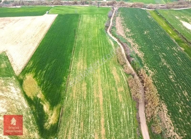 Tire Ye 5 Km Mesafede Satılık Harika Bir Tarla - Görsel 7