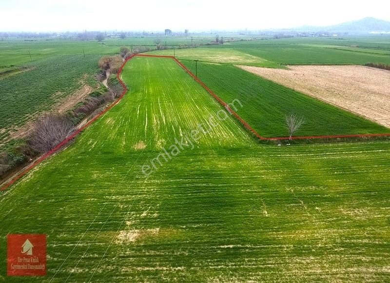 Tire Ye 5 Km Mesafede Satılık Harika Bir Tarla - Görsel 12