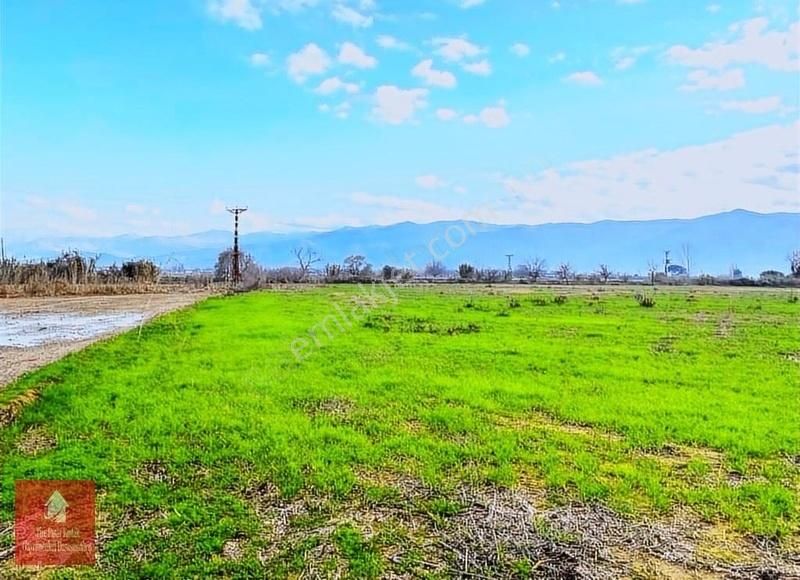 Tire Ye 5 Km Mesafede Satılık Harika Bir Tarla - Görsel 16