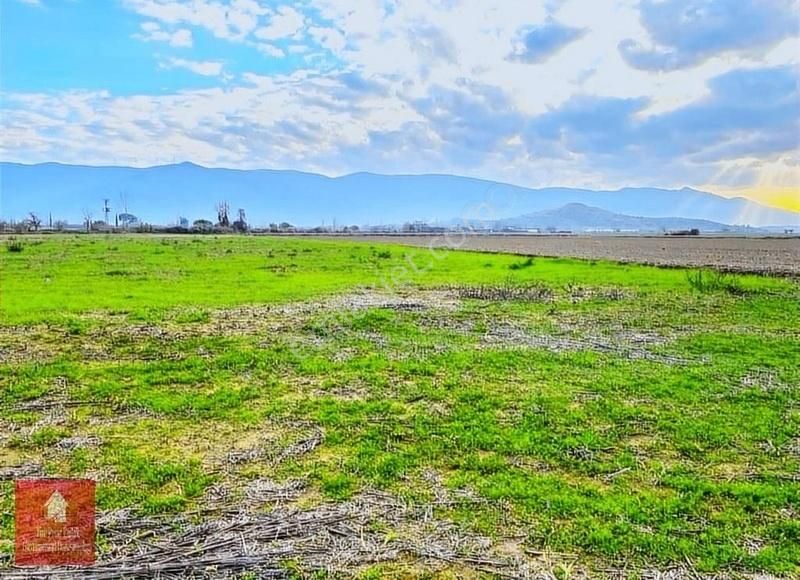 Tire Ye 5 Km Mesafede Satılık Harika Bir Tarla - Görsel 4