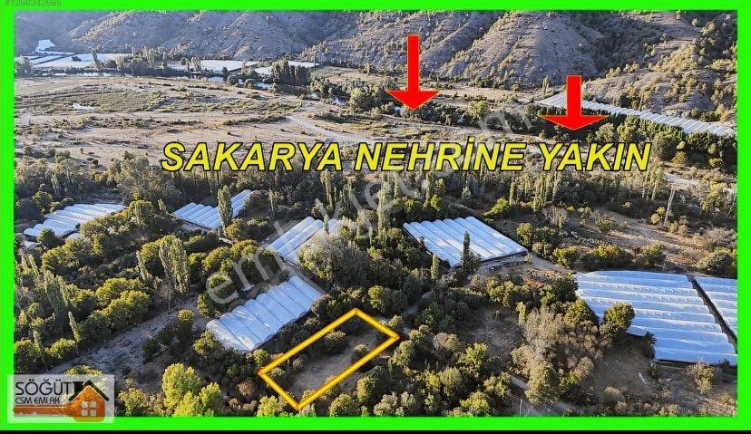—fırsat—yakacık Sera Bölgesi