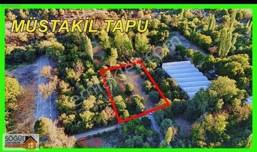 —fırsat—yakacık Sera Bölgesi - Görsel 4