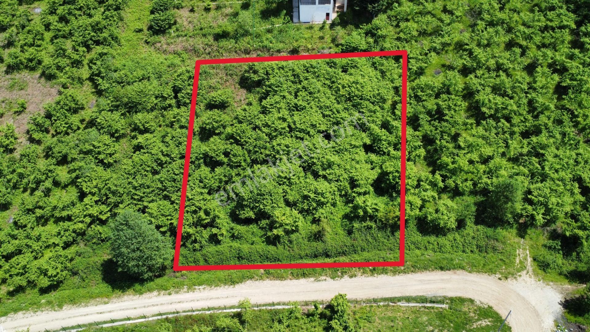Trabzon Ortahisar Bulak'ta Satılık Arazi - Görsel 10