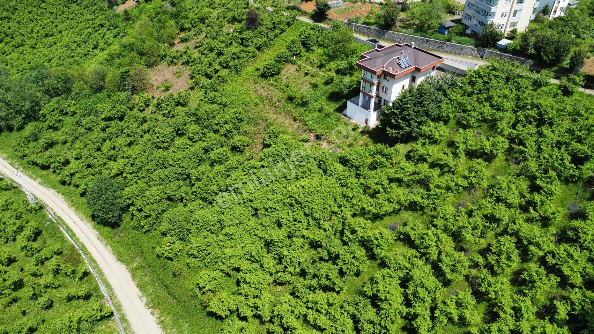 Trabzon Ortahisar Bulak'ta Satılık Arazi - Görsel 3