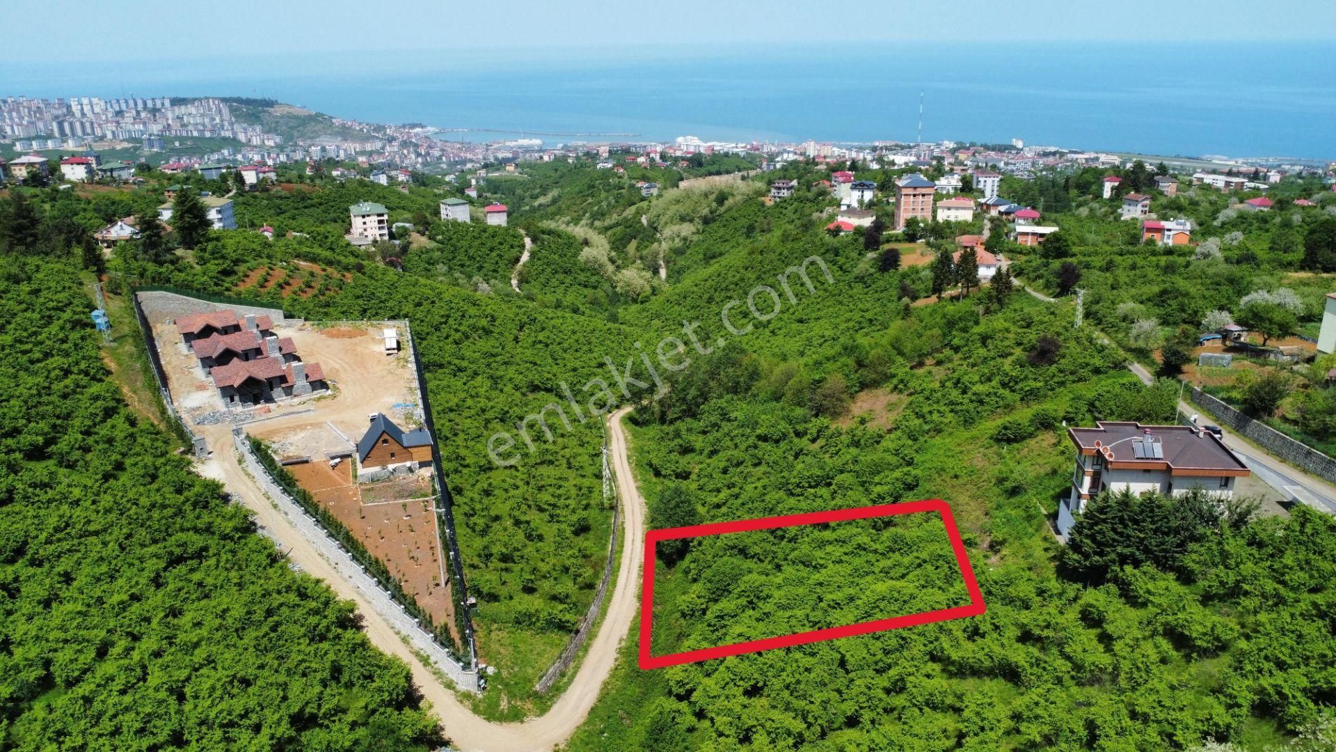 Trabzon Ortahisar Bulak'ta Satılık Arazi - Görsel 8
