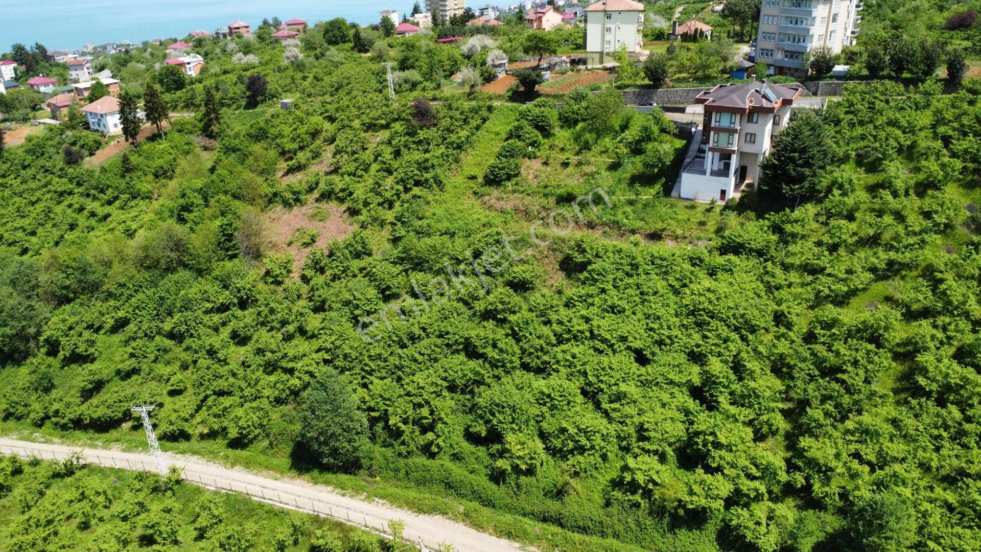 Trabzon Ortahisar Bulak'ta Satılık Arazi - Görsel 11
