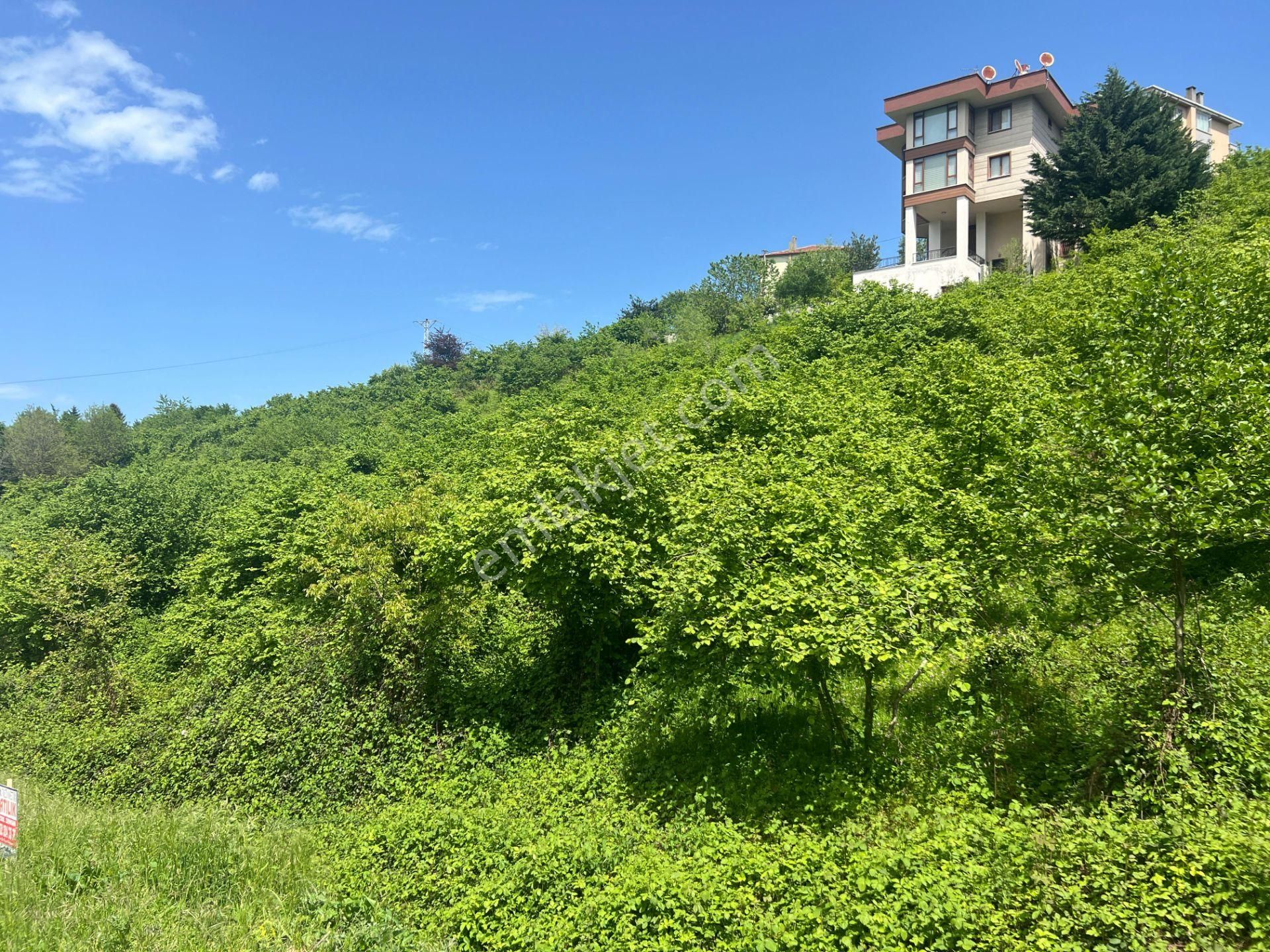 Trabzon Ortahisar Bulak'ta Satılık Arazi - Görsel 16