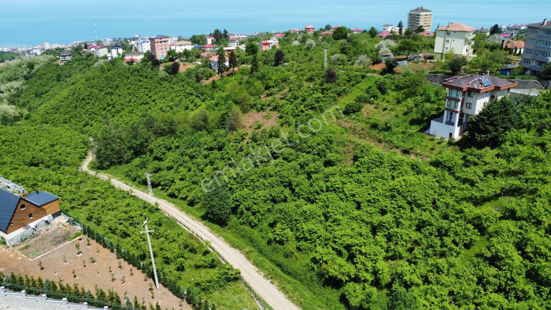 Trabzon Ortahisar Bulak'ta Satılık Arazi - Görsel 12