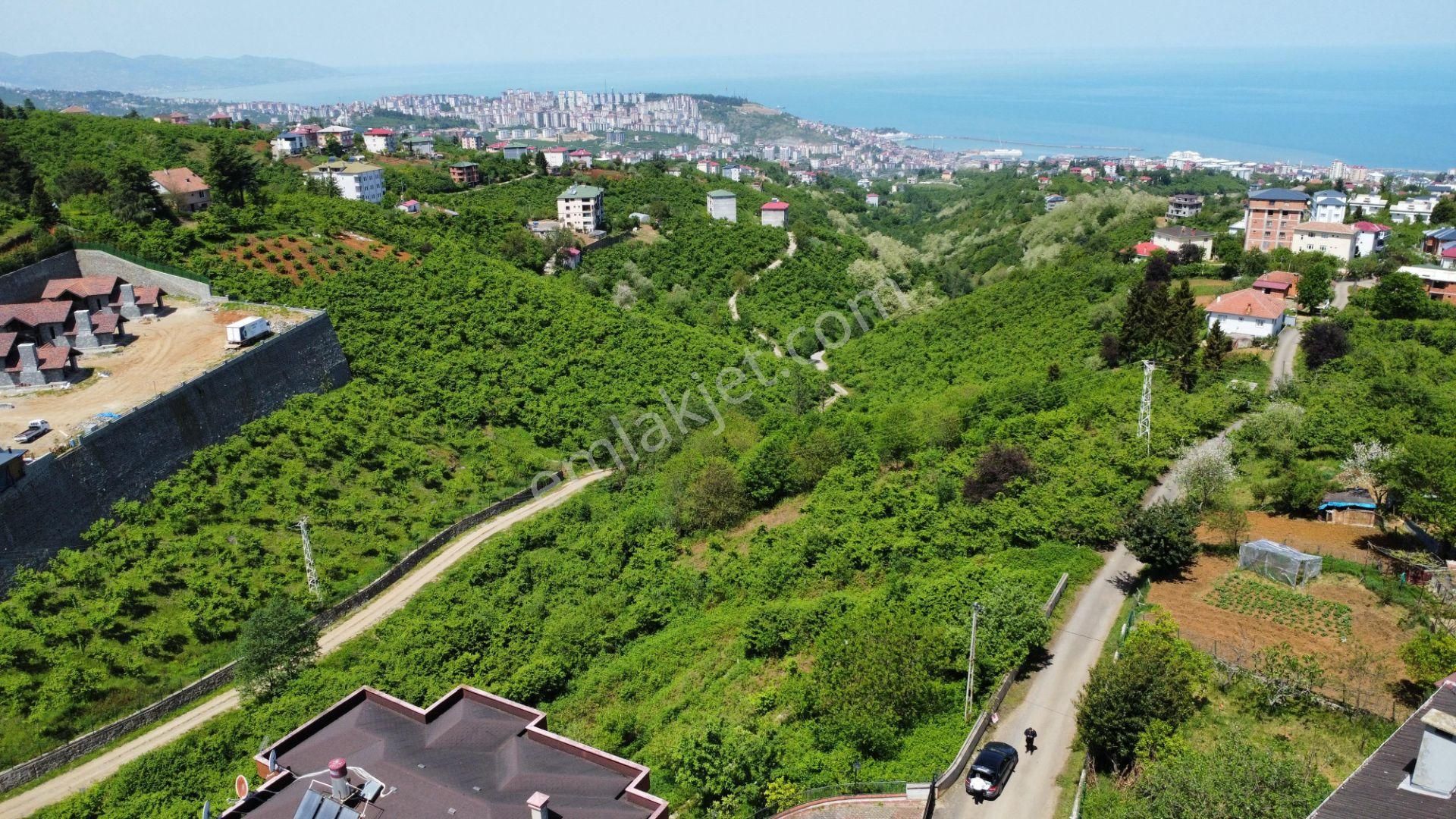 Trabzon Ortahisar Bulak'ta Satılık Arazi - Görsel 15
