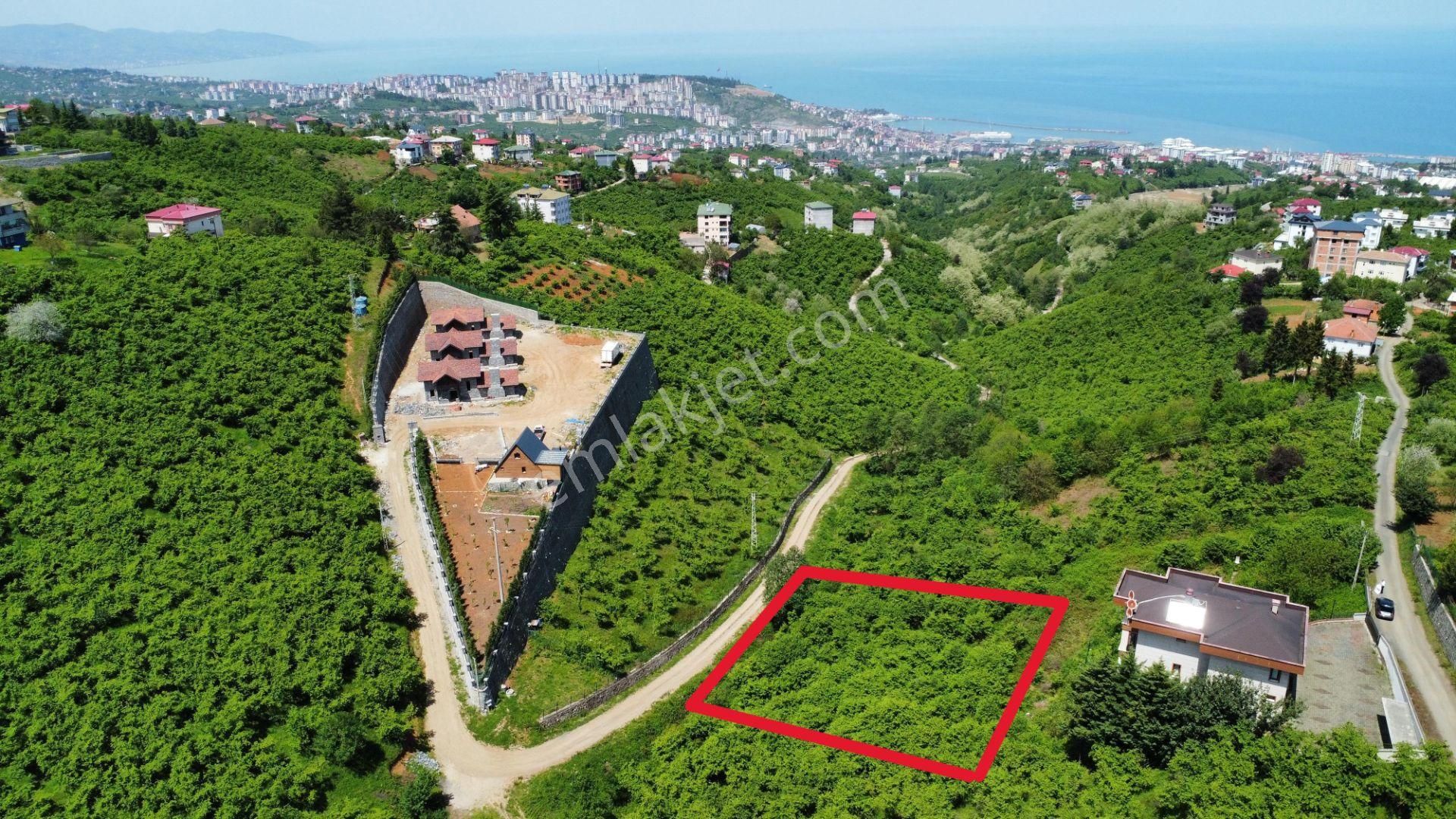 Trabzon Ortahisar Bulak'ta Satılık Arazi - Görsel 5