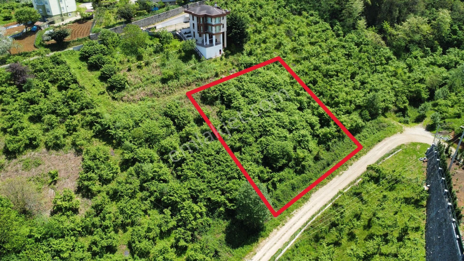 Trabzon Ortahisar Bulak'ta Satılık Arazi - Görsel 7