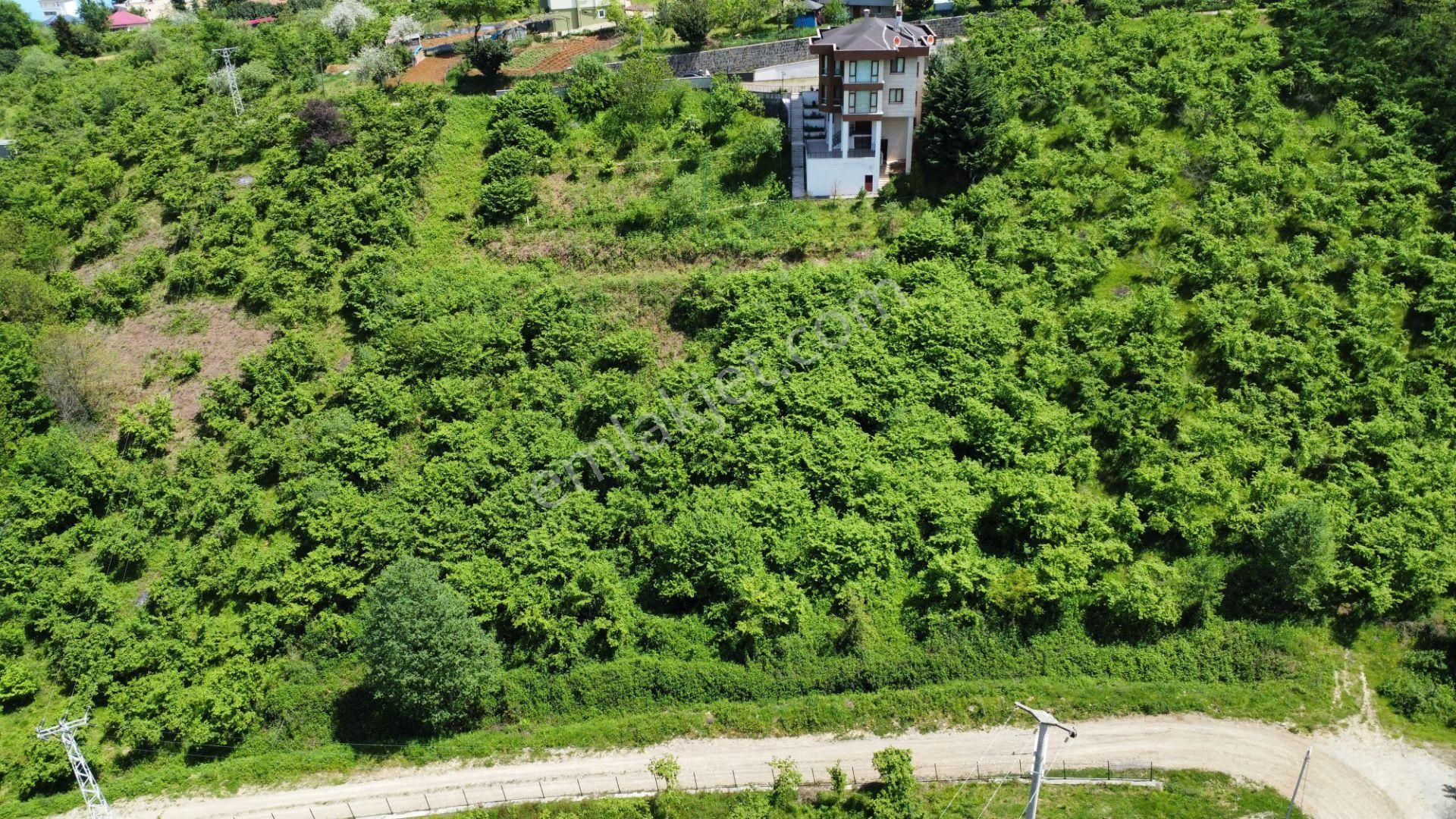 Trabzon Ortahisar Bulak'ta Satılık Arazi - Görsel 13