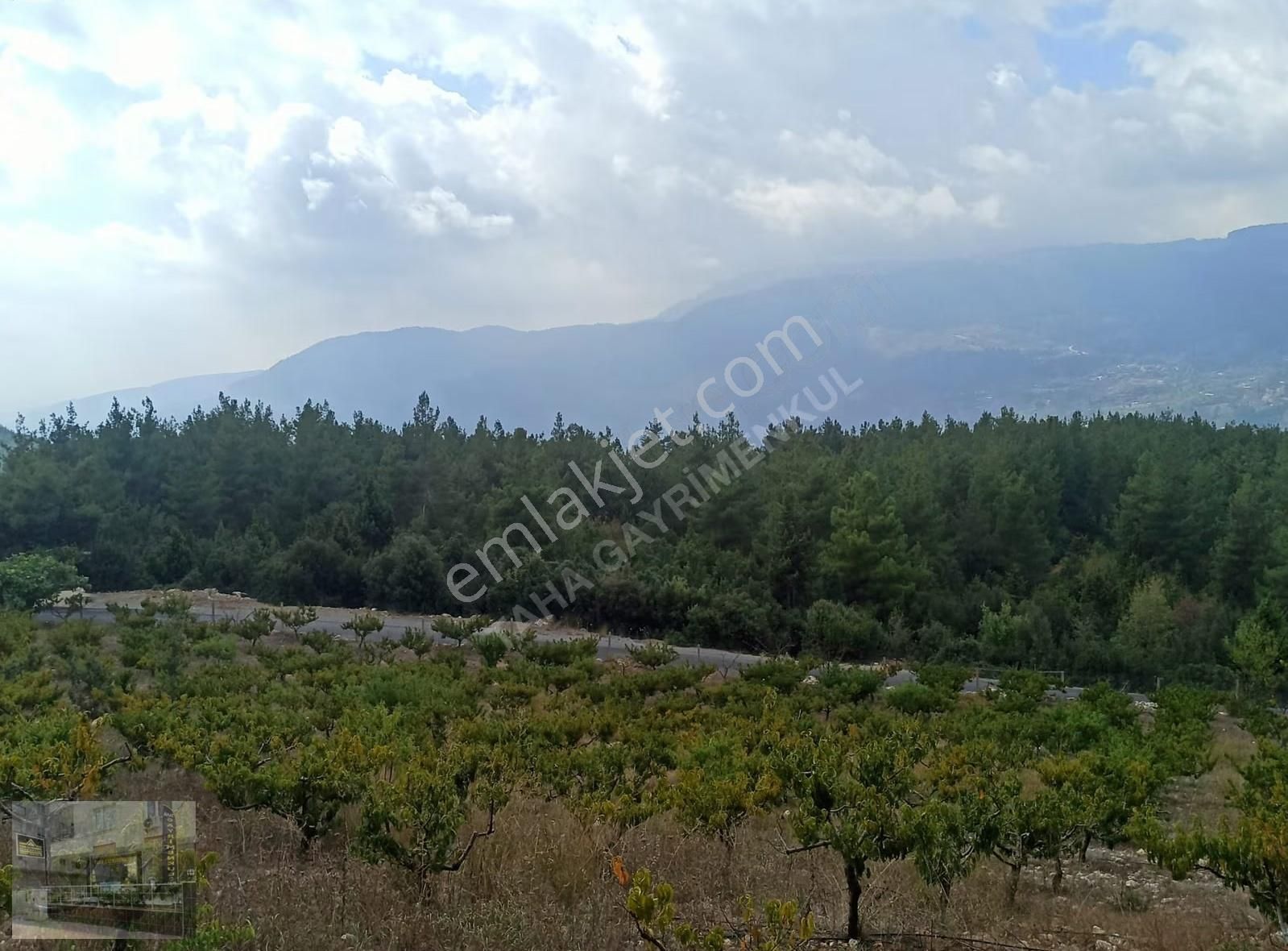 Asfalta Sıfır Doğayla İç İçe 3.992 M2 Şeftali Bahçesi - Görsel 8