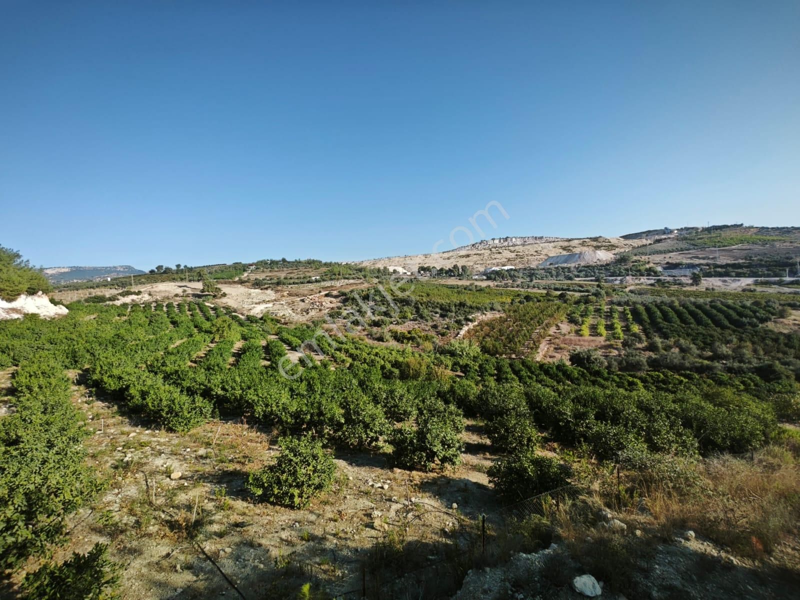 Fa Emlaktan Tarsus Karadikende 23.200m2 Satılık Limon Bahçesi - Görsel 3