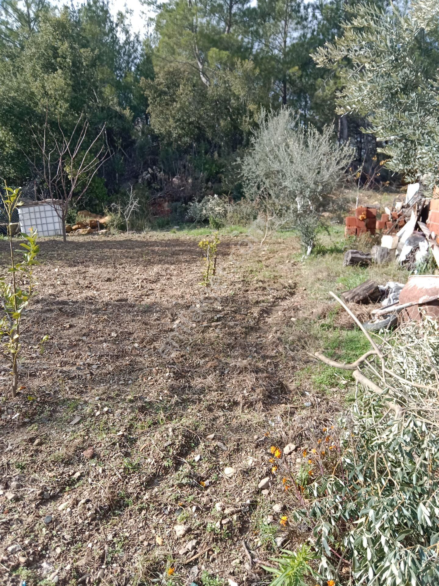 Menderes Catalca Mah Bakımlı Bahce - Görsel 9