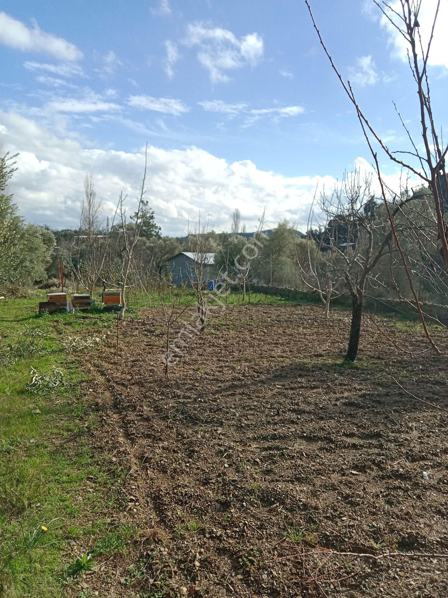Menderes Catalca Mah Bakımlı Bahce - Görsel 8
