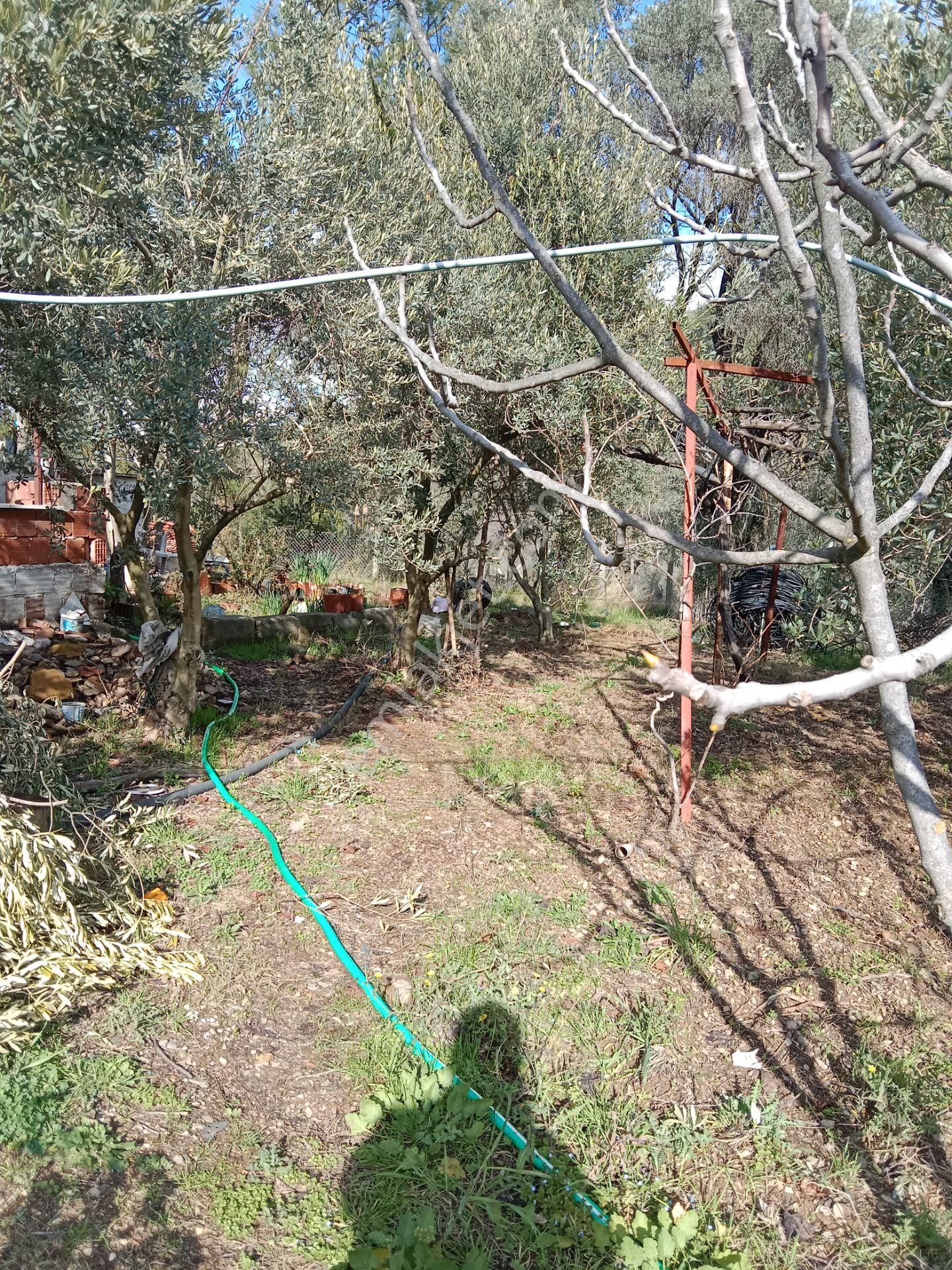 Menderes Catalca Mah Bakımlı Bahce - Görsel 13