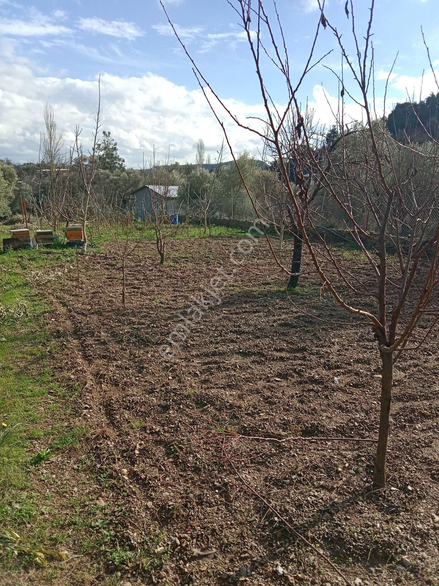 Menderes Catalca Mah Bakımlı Bahce - Görsel 11