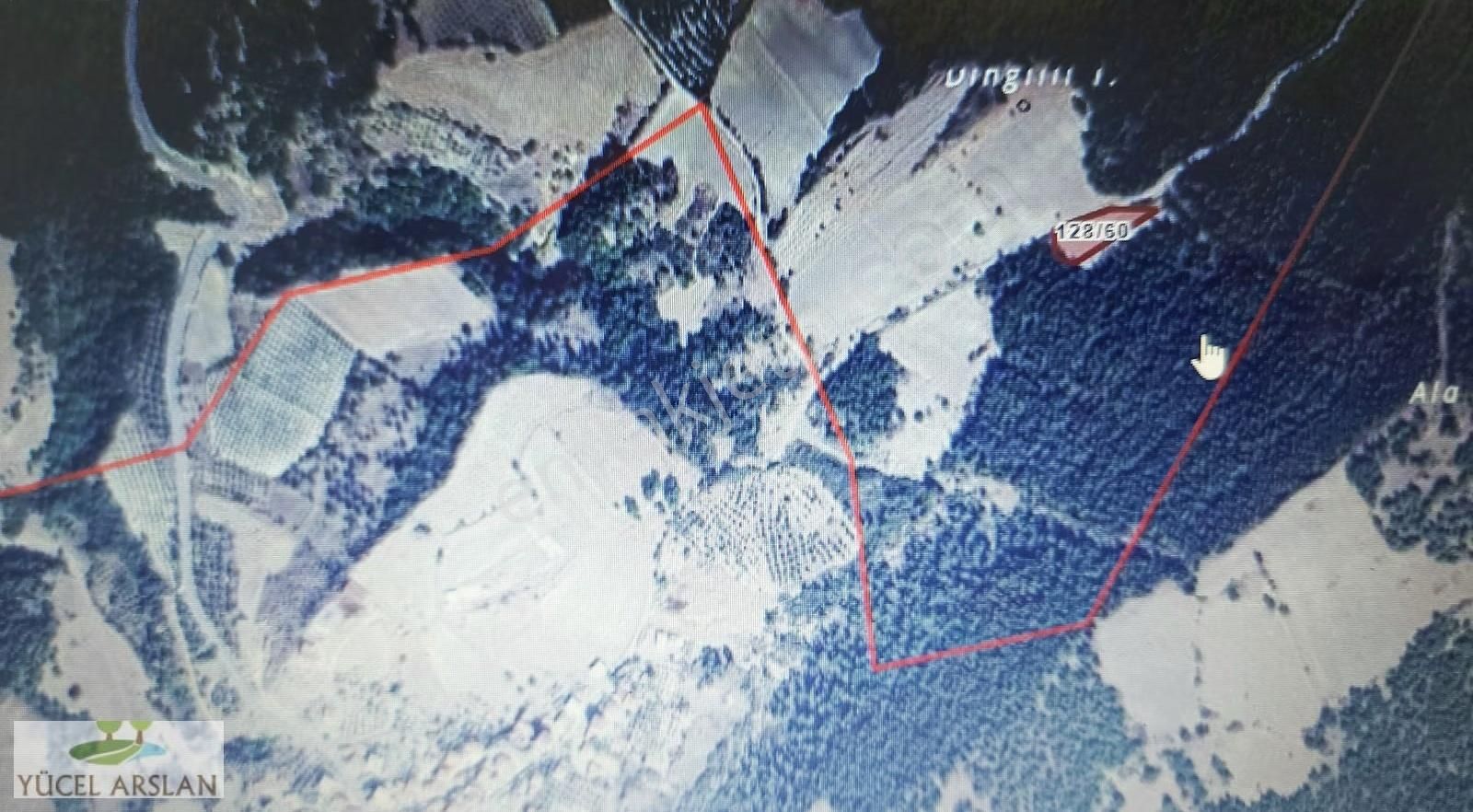 Bergama Bozköy De Satılık Zeytinlik - Görsel 5