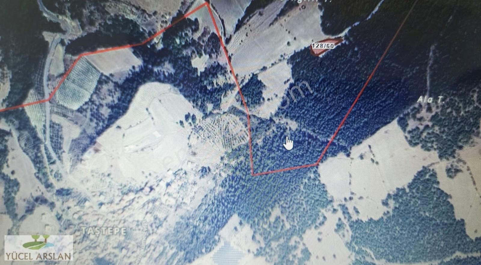 Bergama Bozköy De Satılık Zeytinlik - Görsel 7