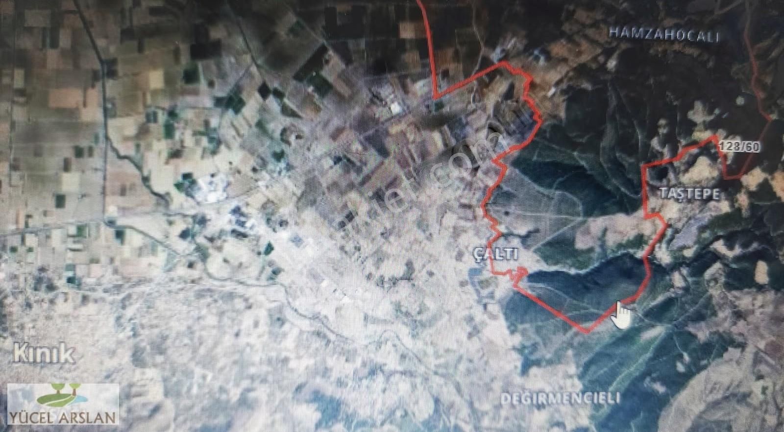 Bergama Bozköy De Satılık Zeytinlik - Görsel 6